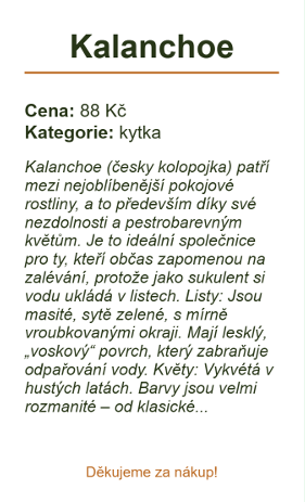 Etiketa