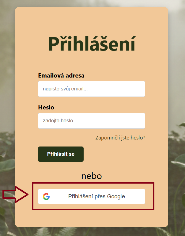 Přihlášení přes Google